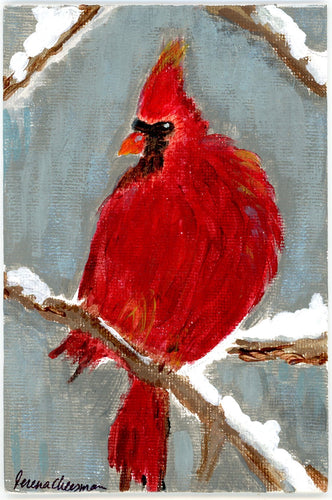 Cardinal In Winter by Terena Cheesman